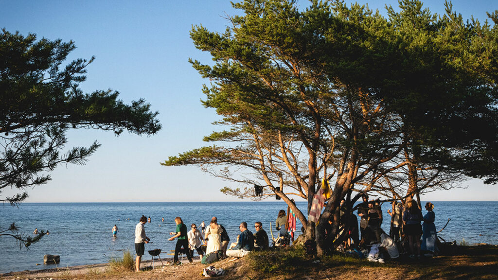 Människor grillar på strand med tallar i förgrunden och hav i bakgrunden.