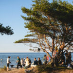 Människor grillar på strand med tallar i förgrunden och hav i bakgrunden.